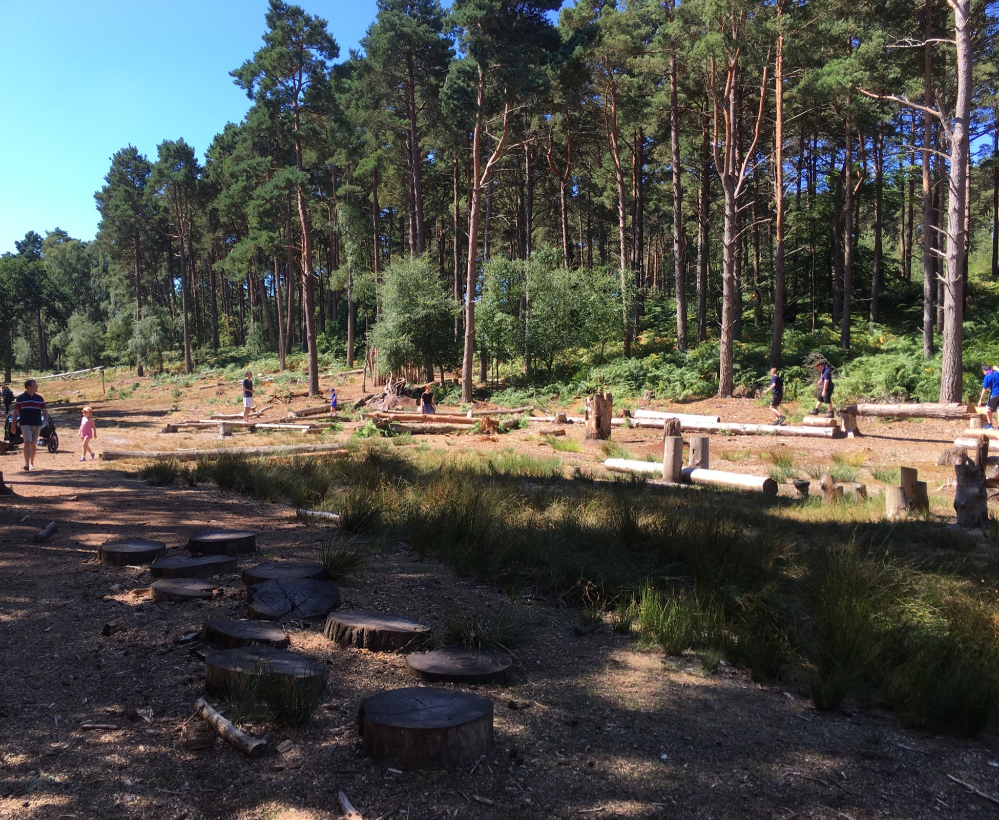 Brownsea island scout camp